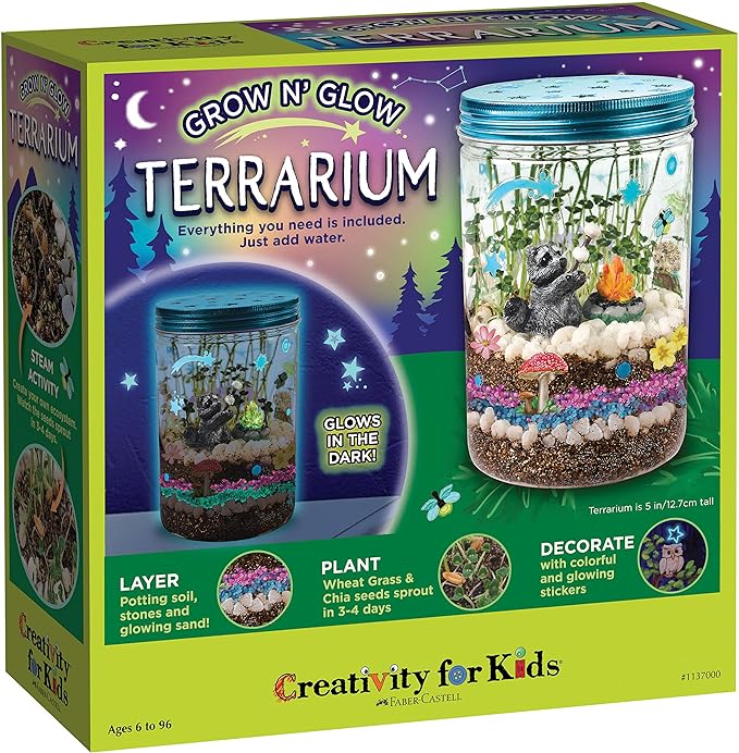 DIY Terrarium Kit