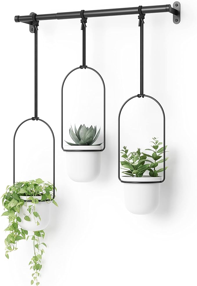 Umbra Triflora Hanging Planter for Window